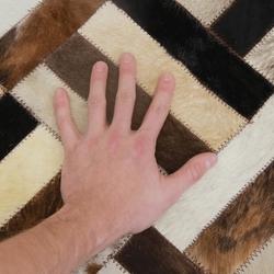 16545_17309849742695.jpg