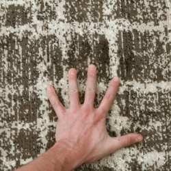 16720_17310343858661.jpg