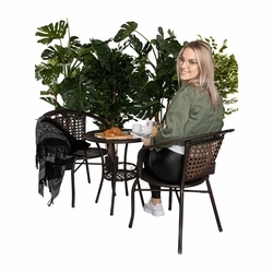 18396_16666827567772.png