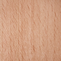 19659_16666973592803.png