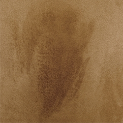 19800_16667001829579.png