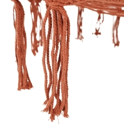 20045_16667067257192.png