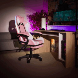 20172_16667651955287.gif