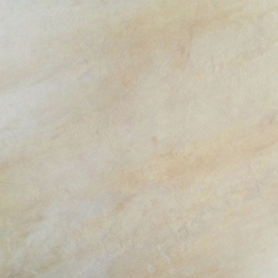 24369_17310569535749.jpg