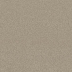 solar-12-tekstura-5976