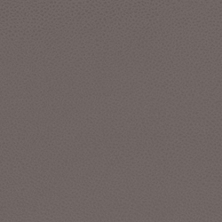 solar-16-tekstura-5109