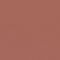 solar-23-tekstura-5258